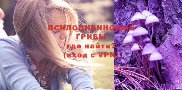 стаф Тобольск