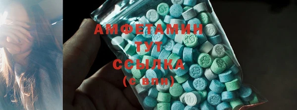 стаф Тобольск