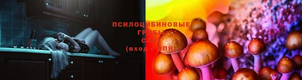 стаф Тобольск