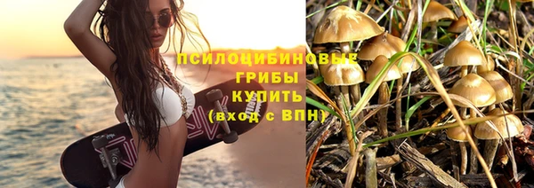 стаф Тобольск