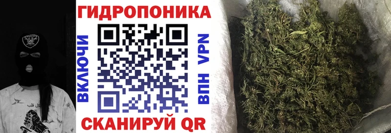Купить закладки  Пересвет  Каннабис THC 21% 